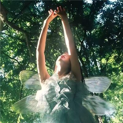 说英雄谁是英雄